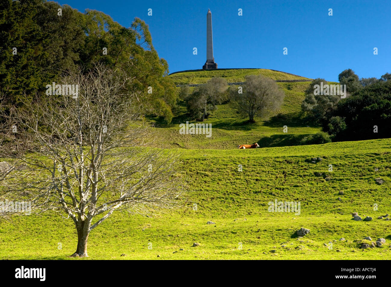 One Tree Hill Auckland New Zealand Stock Photo Alamy