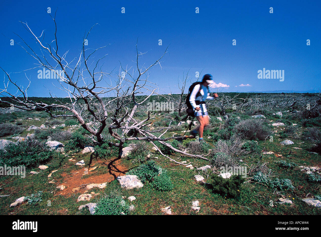 A female trekker walking on the island of Cres, Croatia. Stock Photo