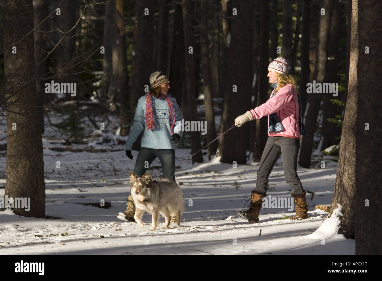 Taking dog for a walk in the snow hi-res stock photography and images ...
