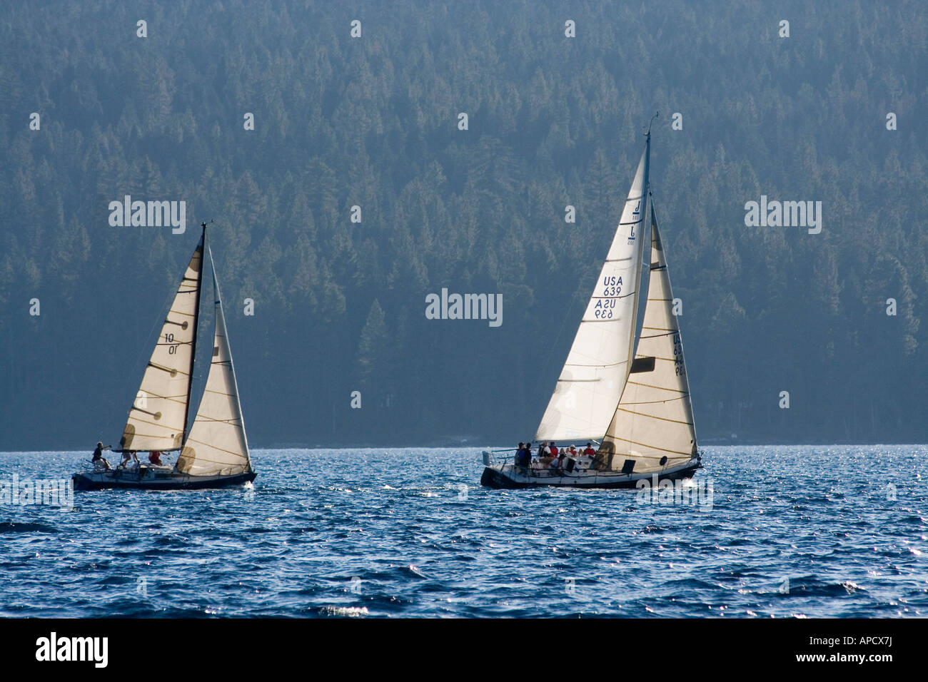 Sailboats on Lake Tahoe backlit during a race Stock Photo