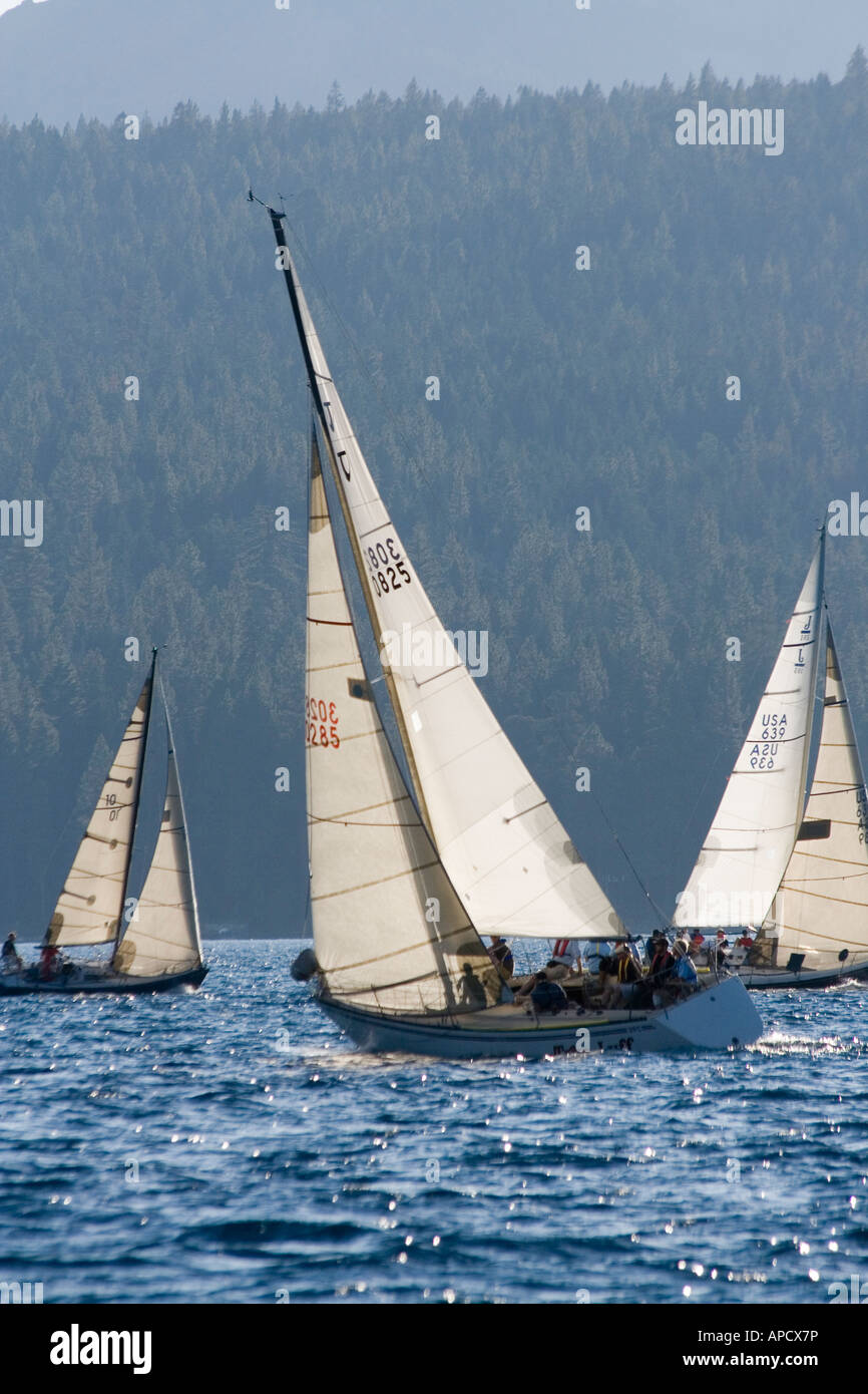 Sailboats on Lake Tahoe backlit during a race Stock Photo