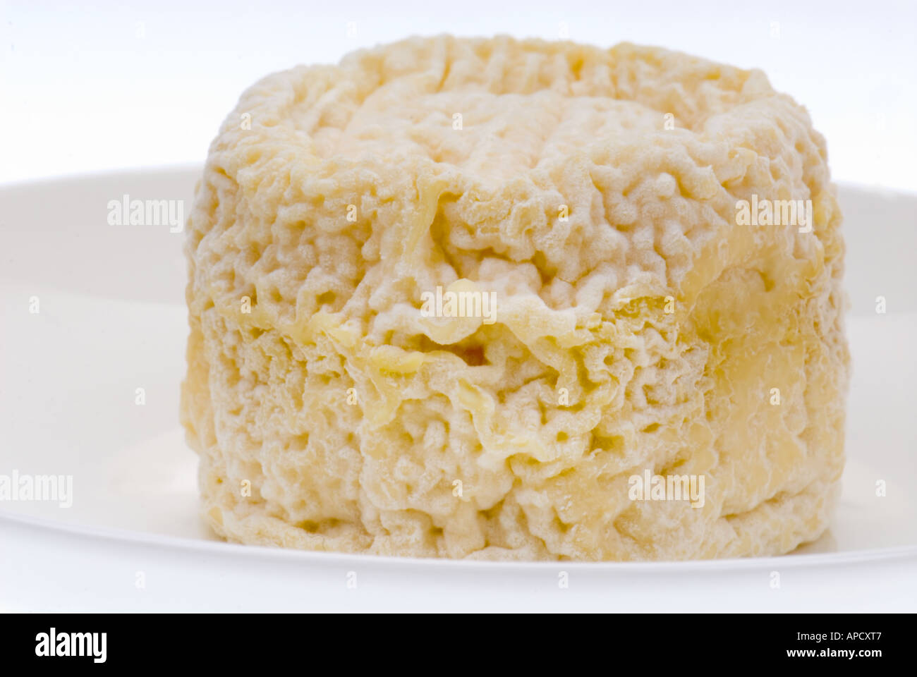 original traditional french cheese goat goat cheese little roll