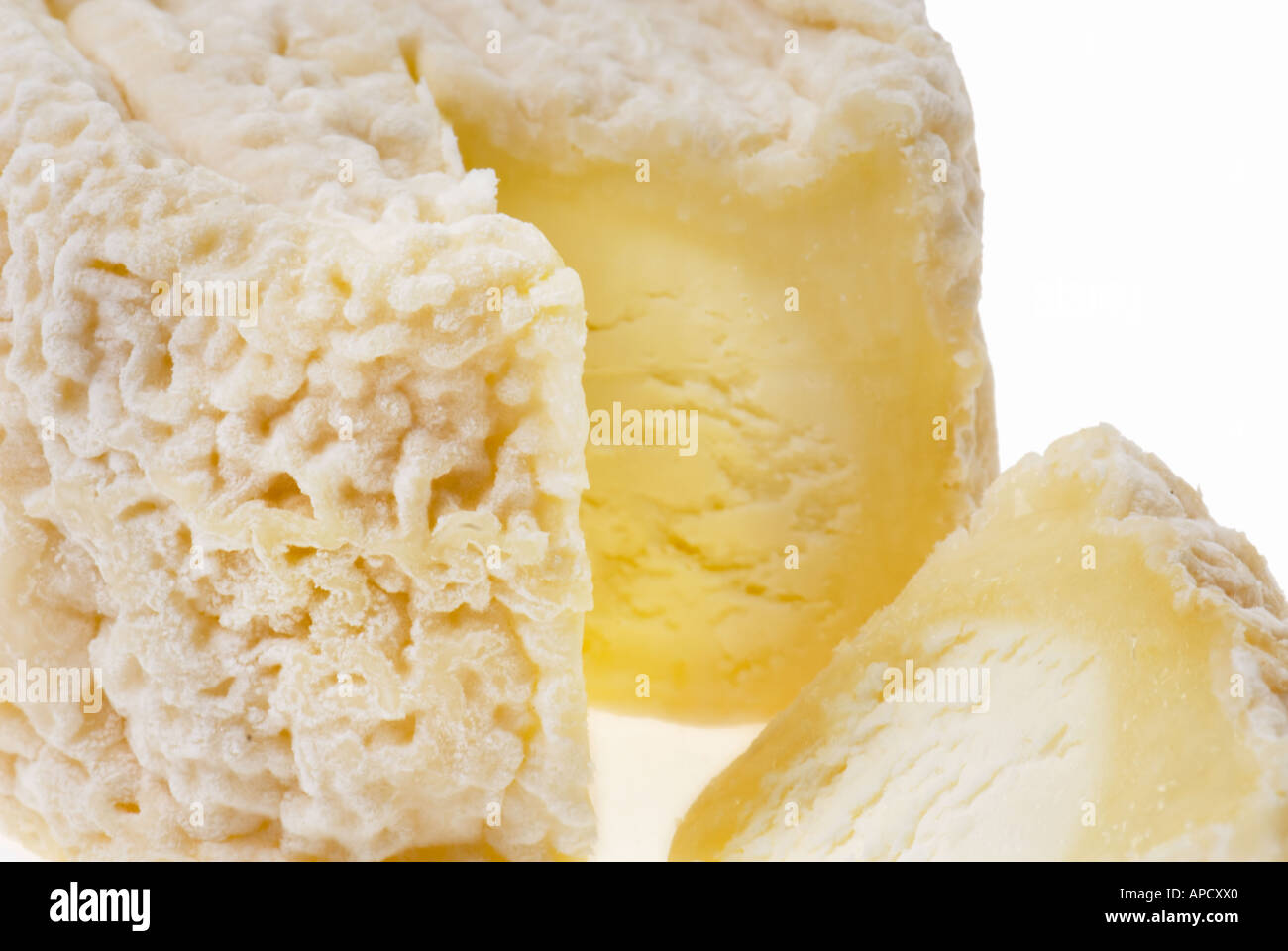 original traditional french cheese goat goat cheese little roll