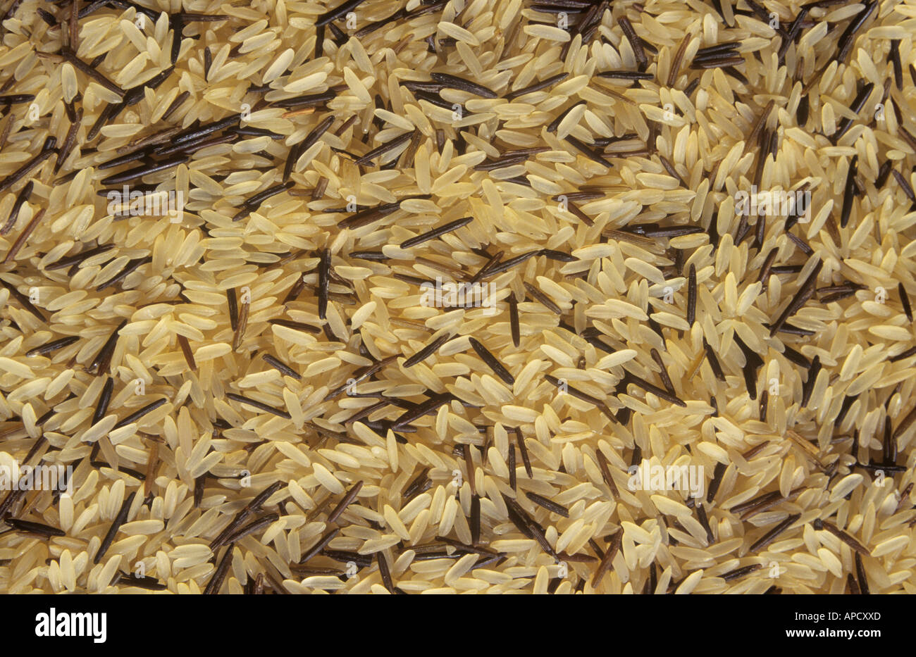 Rice, uncooked, wild & long grain Stock Photo Alamy