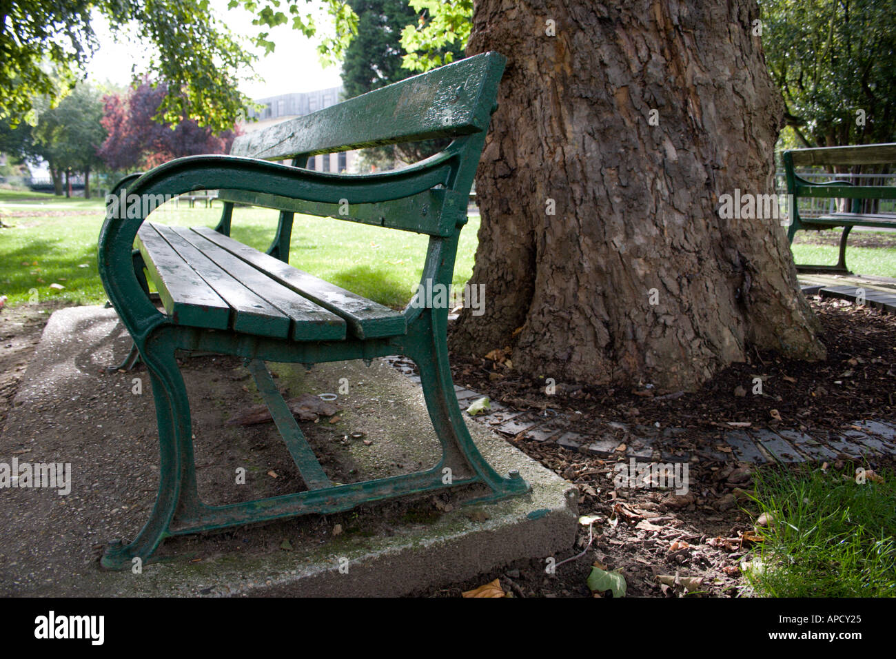 Close Up Colour Image Off A Park Bench In Front Off A Tree Stump