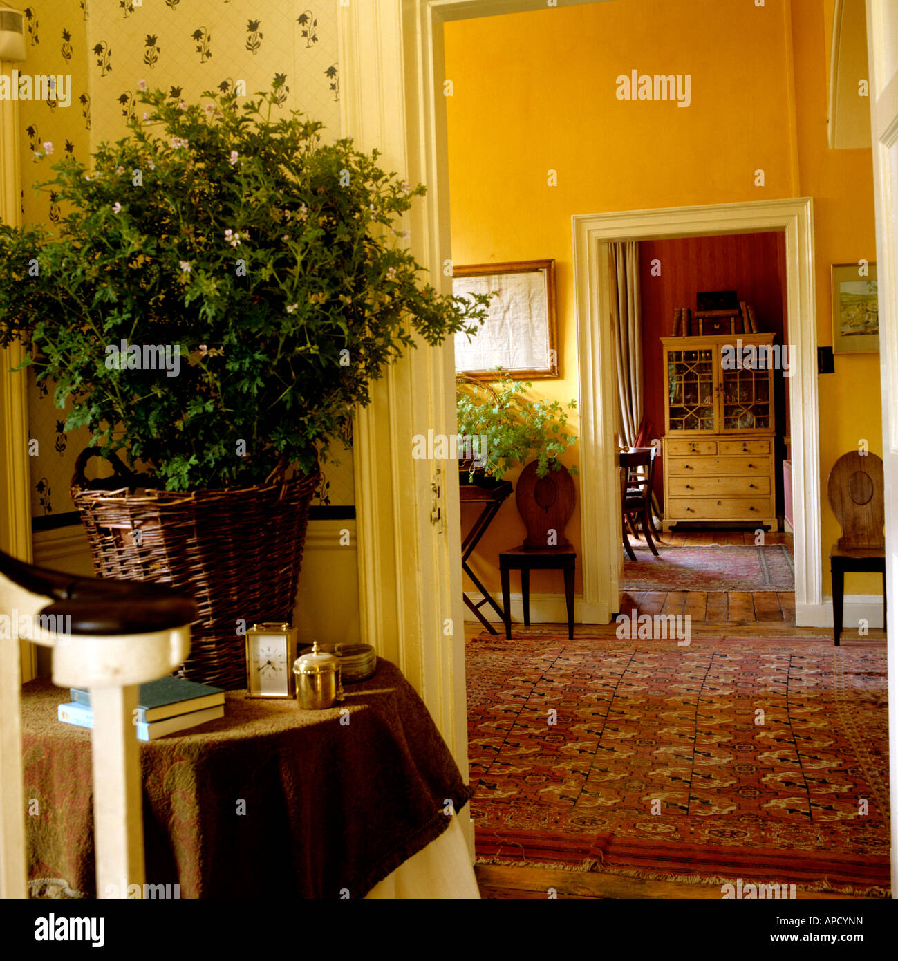 entrance hall with patterned rug in an Irish farmhouse in Co. Louth