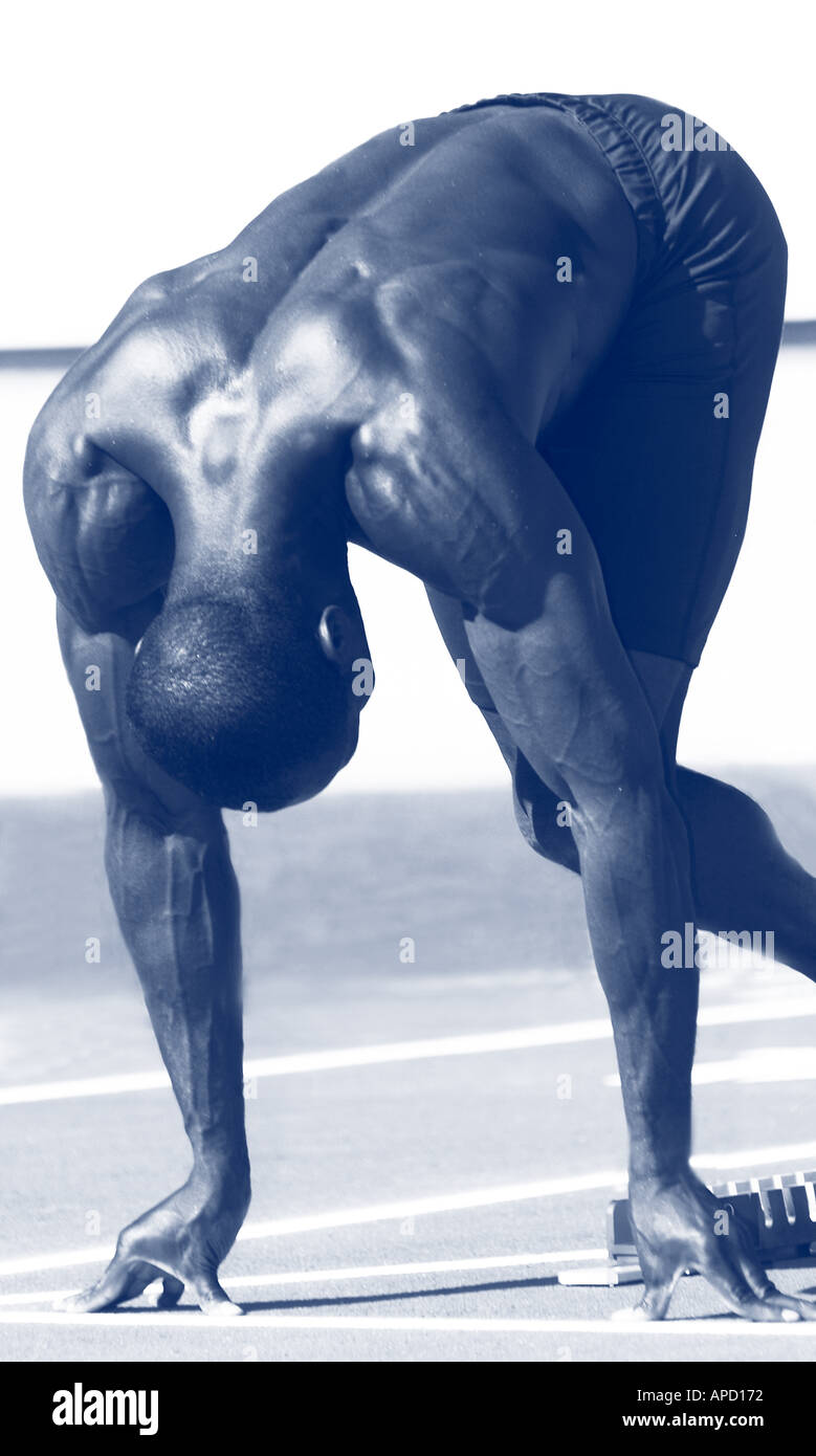 Sport Track Field Athletics Track Event Stock Photo Alamy