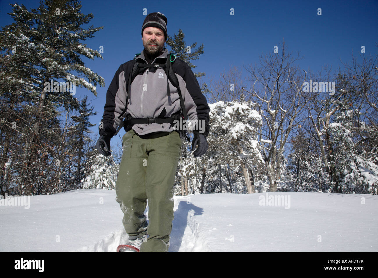 hiker health ex-cerise active break trail male snowshoer male man 30s Stock Photo