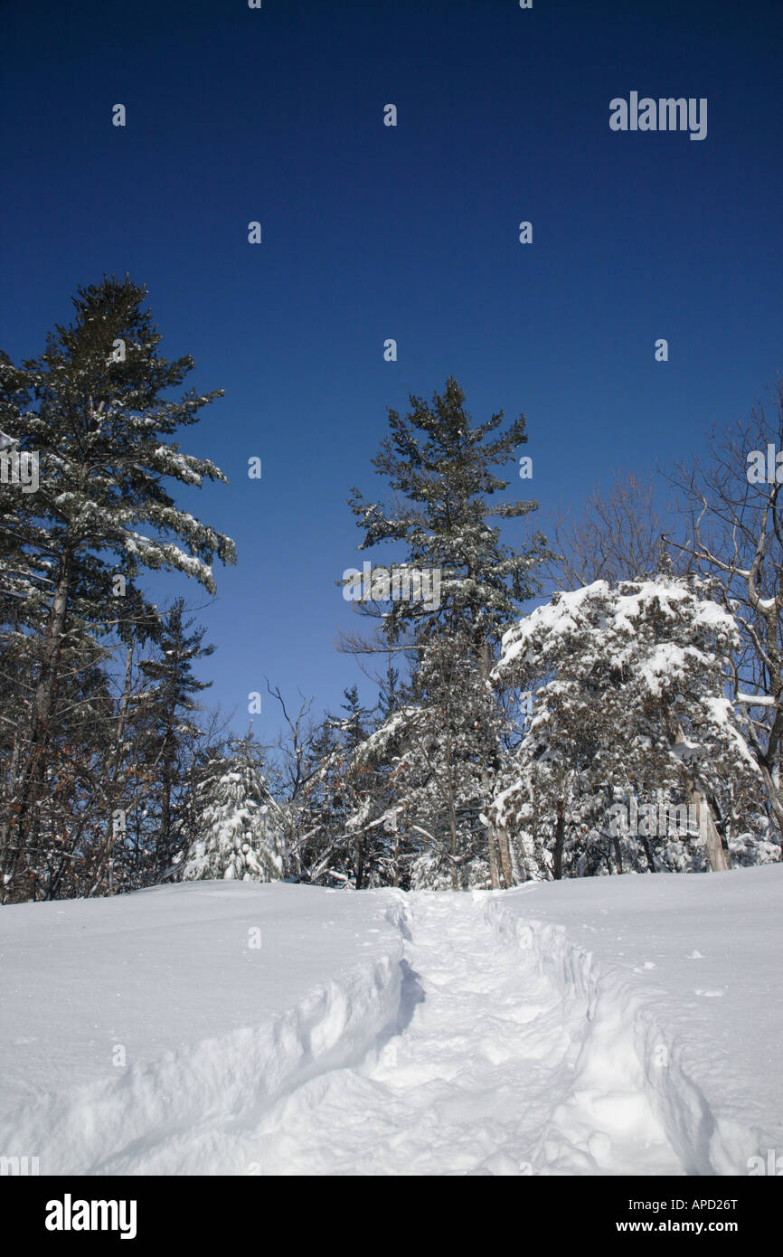 Pawtuckaway State Park during the winter months Located in Nottingham New Hampshire USA Stock Photo
