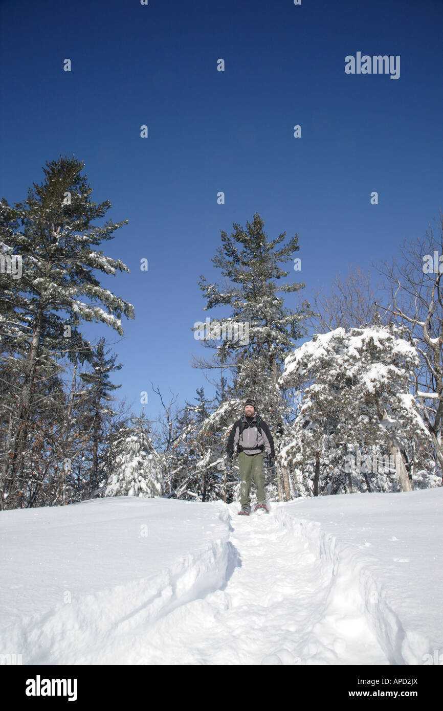New hampshire state park system hi-res stock photography and images - Alamy