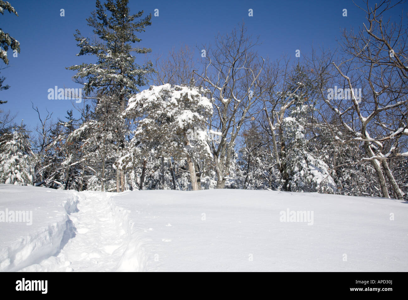 Pawtuckaway State Park during the winter months Located in Nottingham New Hampshire USA Stock Photo