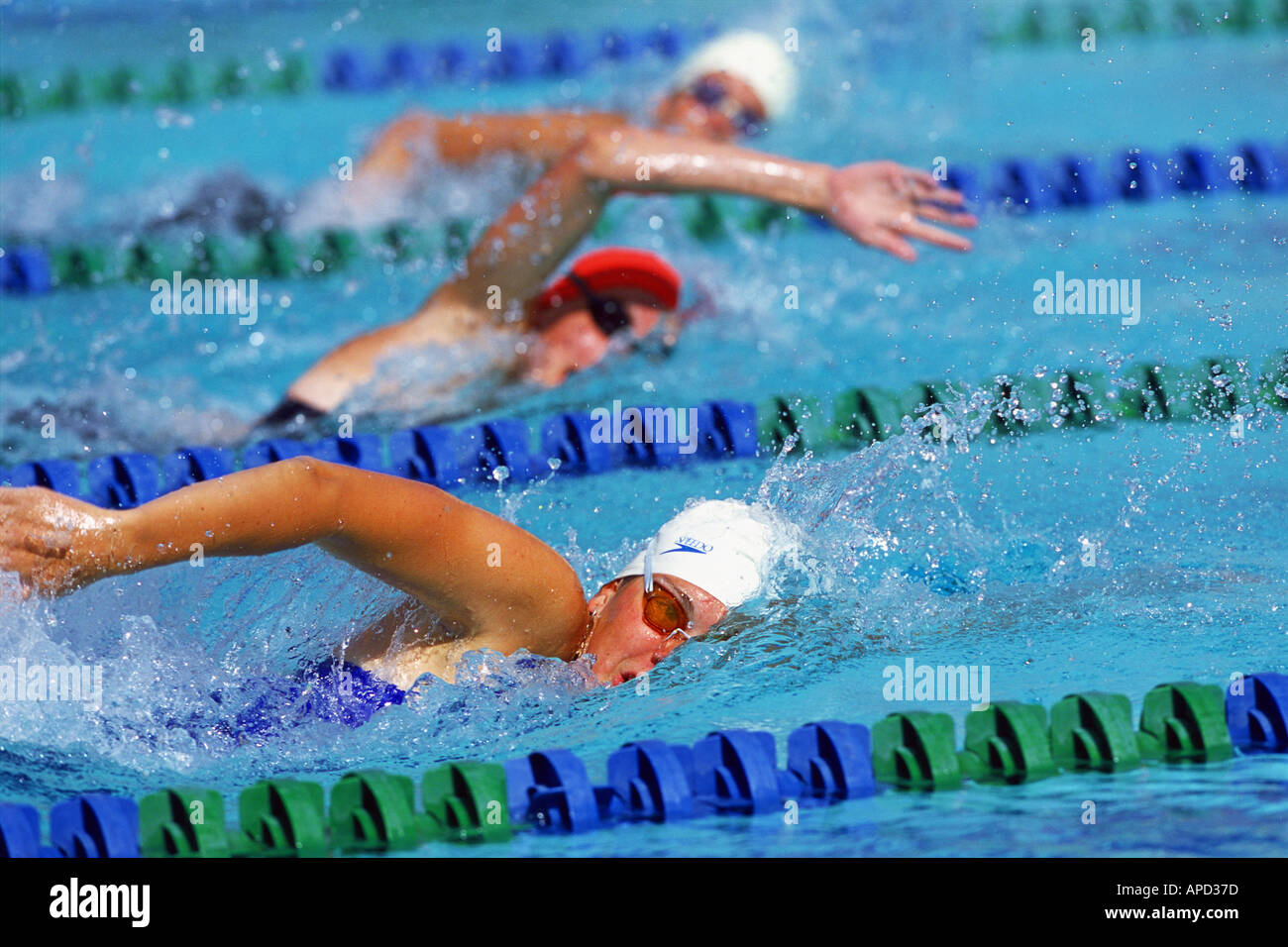 Sport Swimming Freestyle Stock Photo