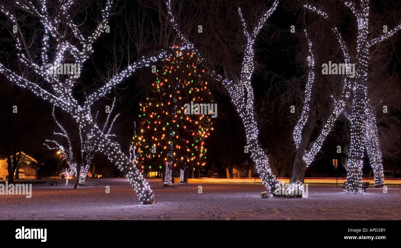 Christmas lights adorn the trees at Wheeler Park in downtown Flagstaff ...