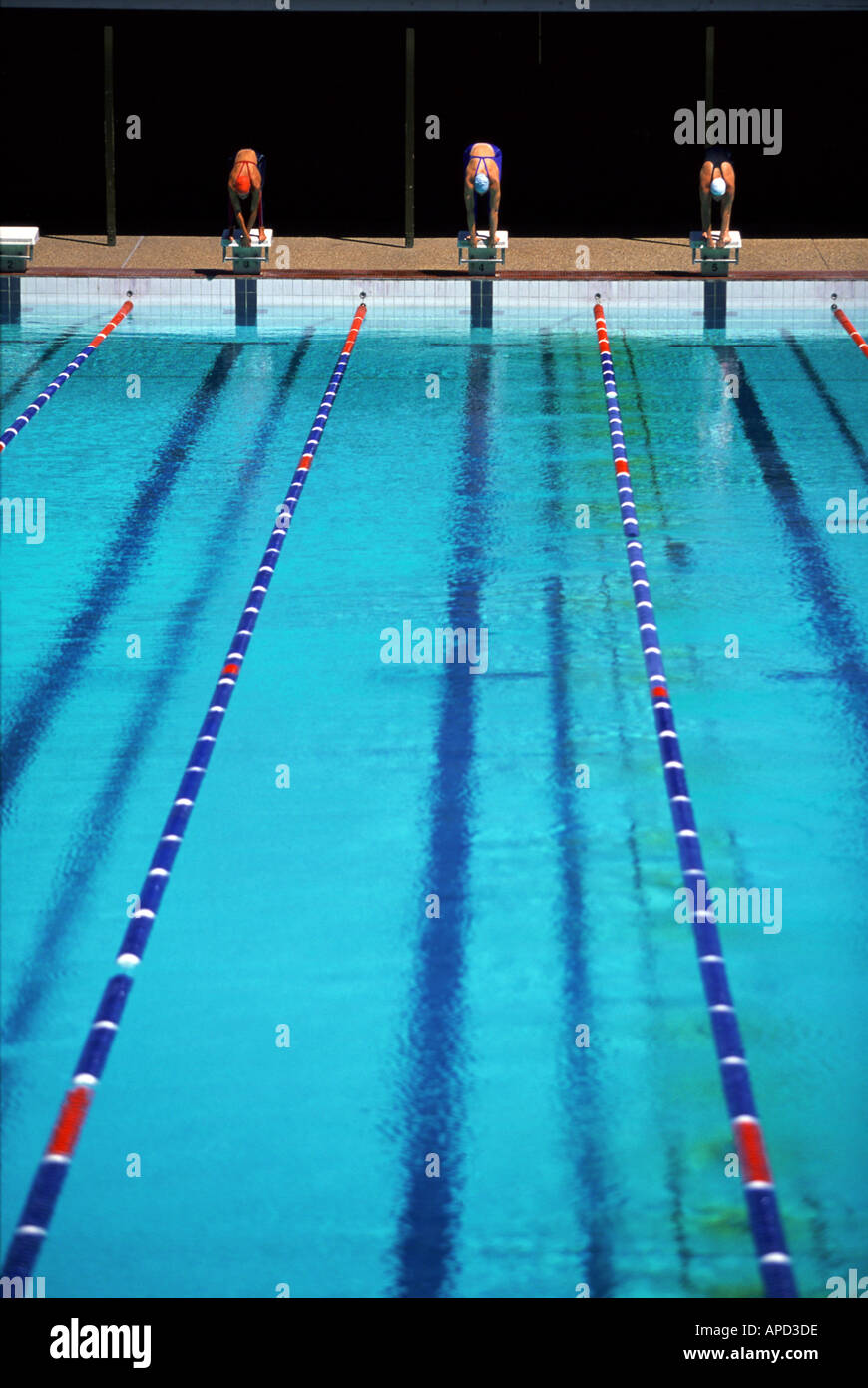 Swimming Pool Start High Resolution Stock Photography and Images Alamy