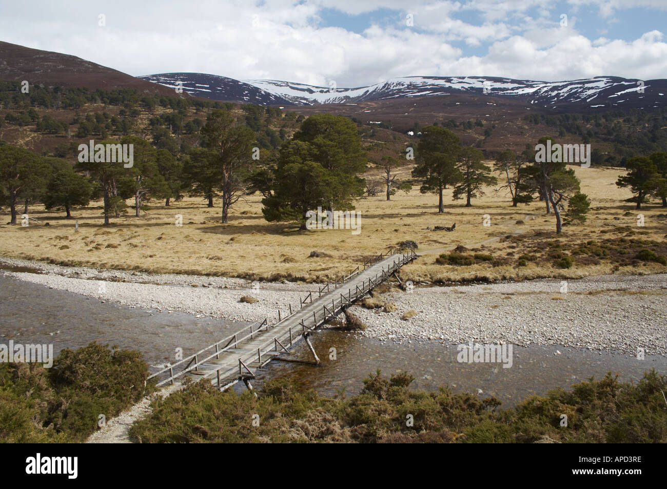 Feshie bridge hi-res stock photography and images - Alamy