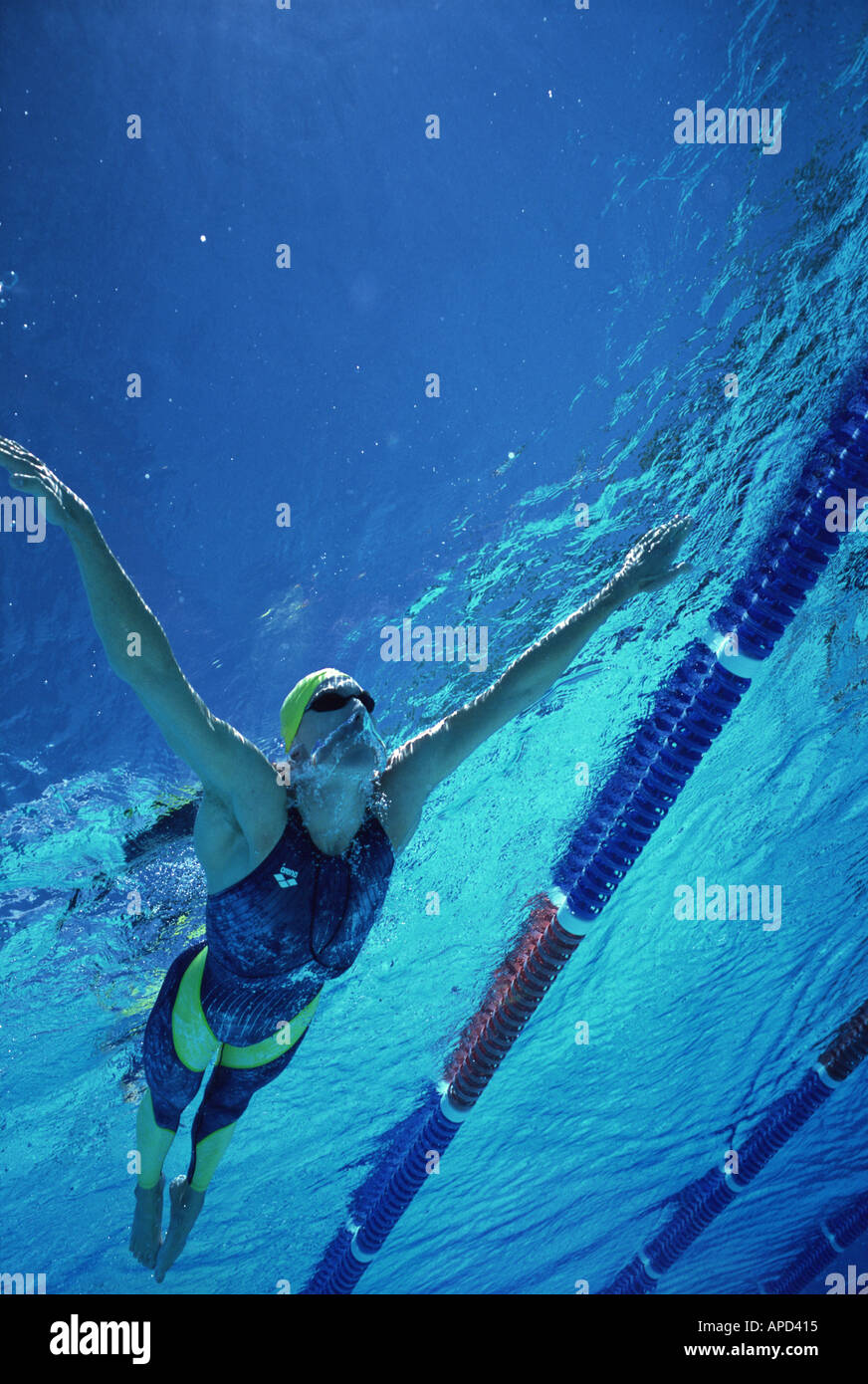 Sport Swimming Breaststroke Stock Photo