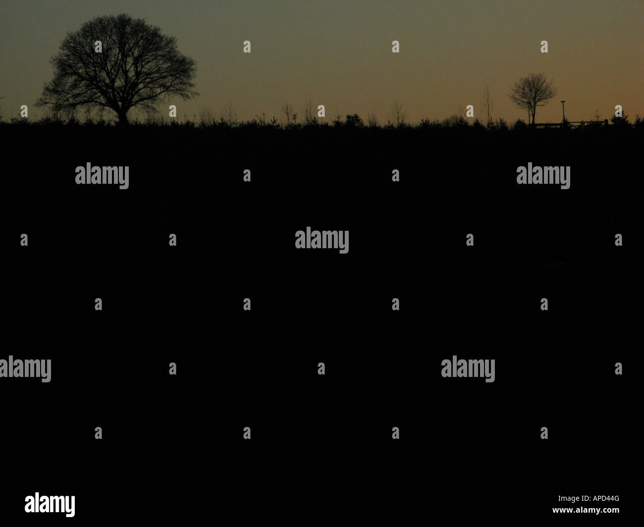 Winter skyline in the countryside, Staffordshire, England Stock Photo