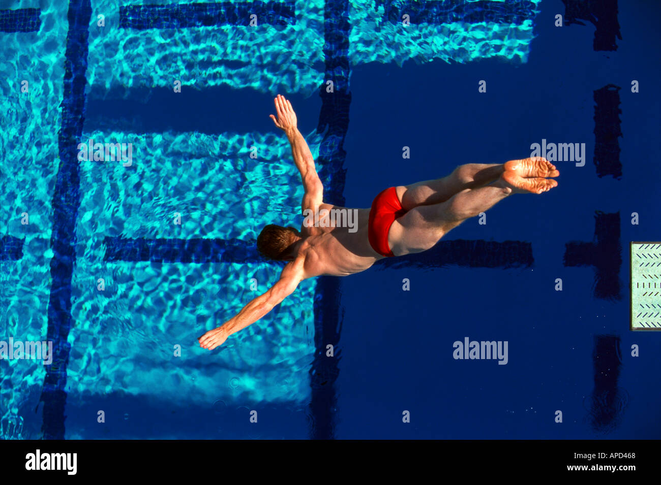 Sport Swimming Diving Stock Photo