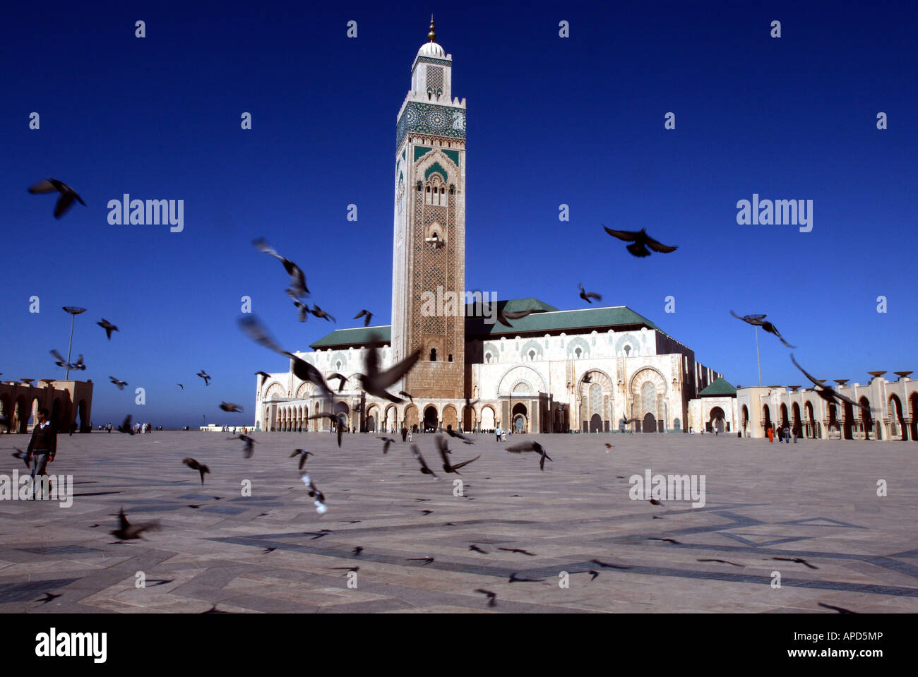Hassan 2 mosque in Casablanca, Morocco Stock Photo