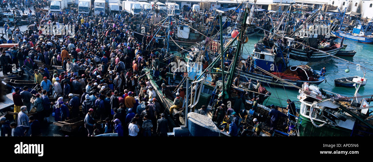 Africa Morocco Dense mob of traders greet fishing boats arriving at docks at sunrise in Casablancas Port du Peche Stock Photo