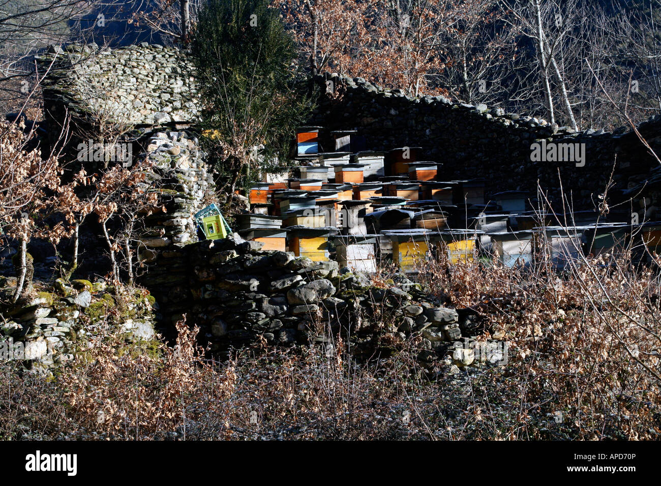 Bee hives in the Spanish mountains of O Courel, Galicia Stock Photo