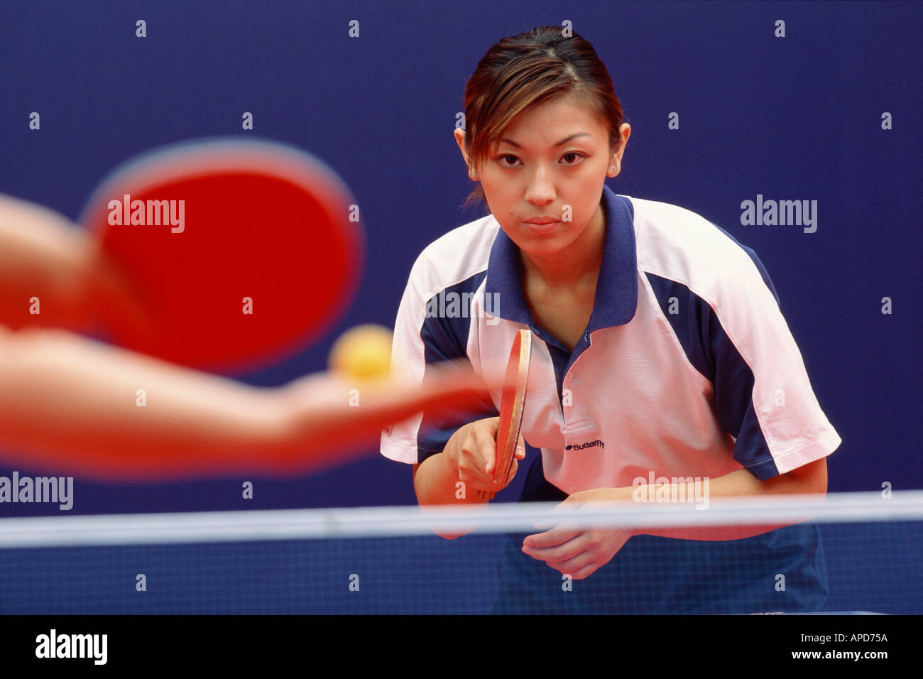 Sport Racket Sports Ping Pong Table Tennis Stock Photo - Alamy