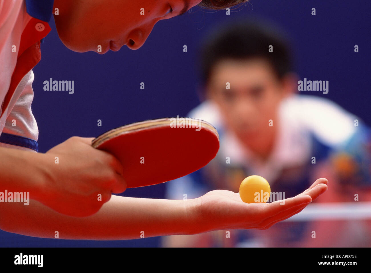 Sport Racket Sports Ping Pong Table Tennis Stock Photo - Alamy