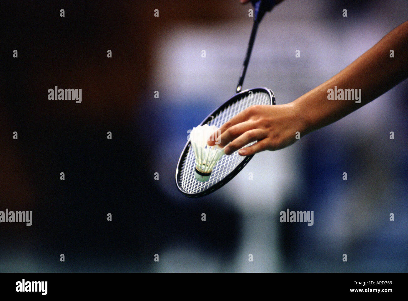 Sport Racket Sports Badminton Stock Photo