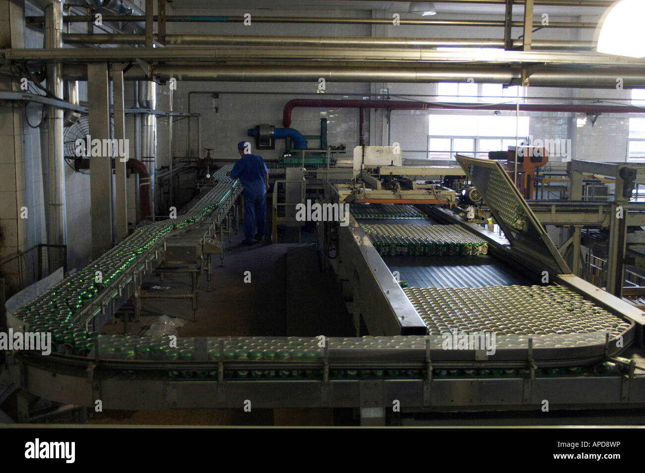 Tsingtao Beer Stock Photos & Tsingtao Beer Stock Images Alamy