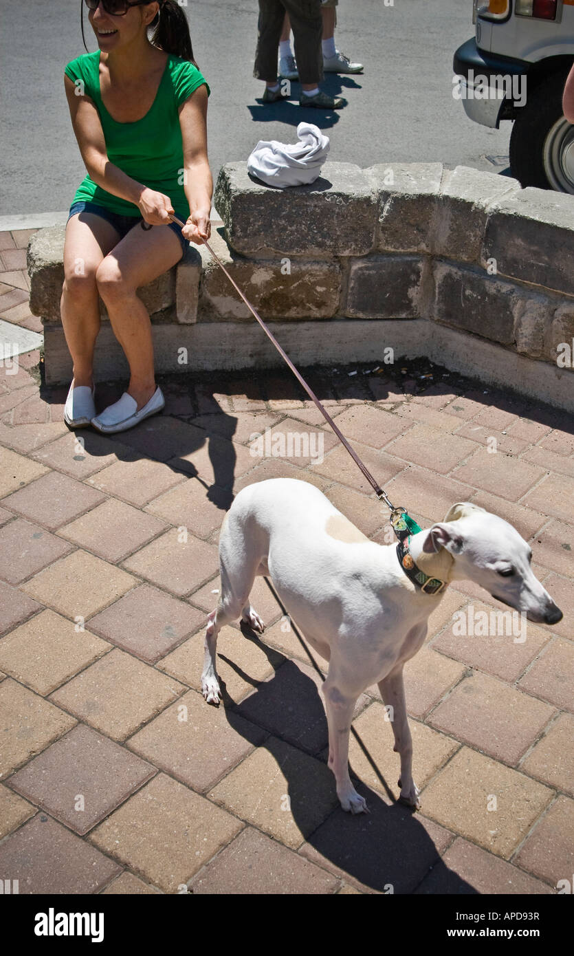 Keeping dogs on a leash hires stock photography and images Alamy