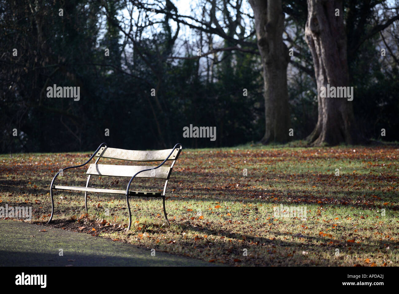 A park bench in Clifton, Bristol Stock Photo