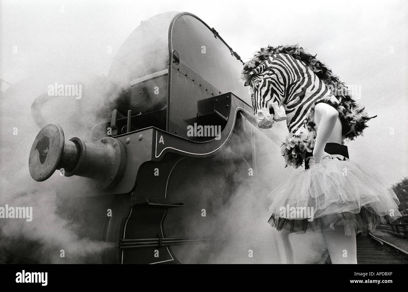 A ballet dancer dressed as a zebra confronts an old steam train. Stock Photo