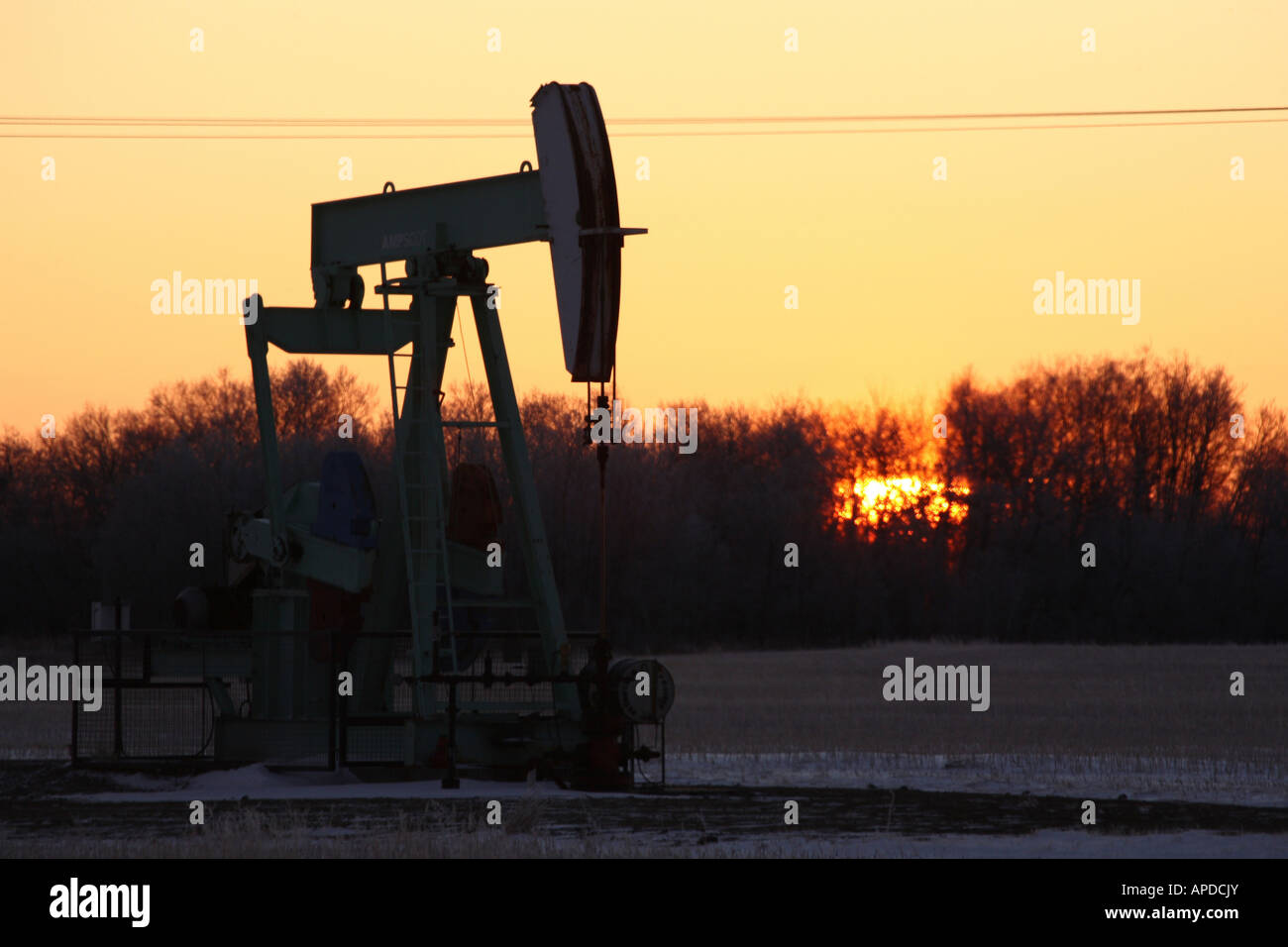 Sun rising behind grove and oil rig pump Stock Photo - Alamy