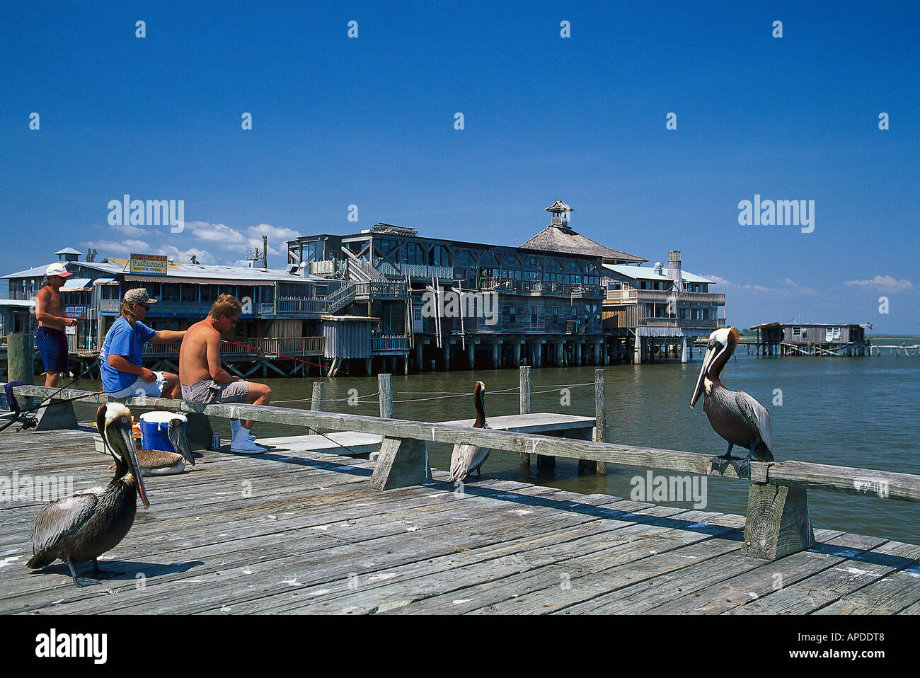Fishing at the pier, Cedar Key Florida, USA Stock Photo Alamy