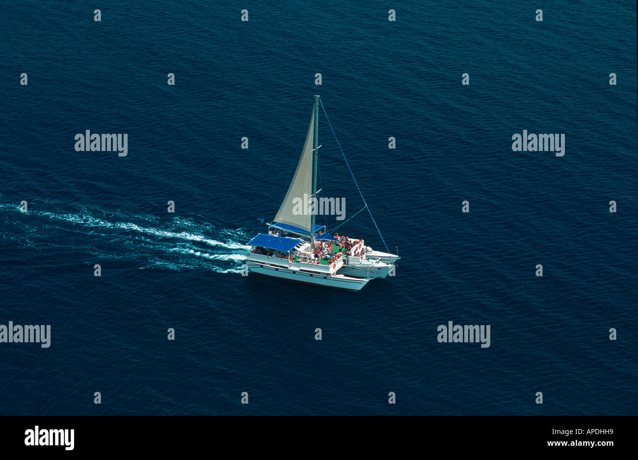 Catamaran, St. Lucia Stock Photo