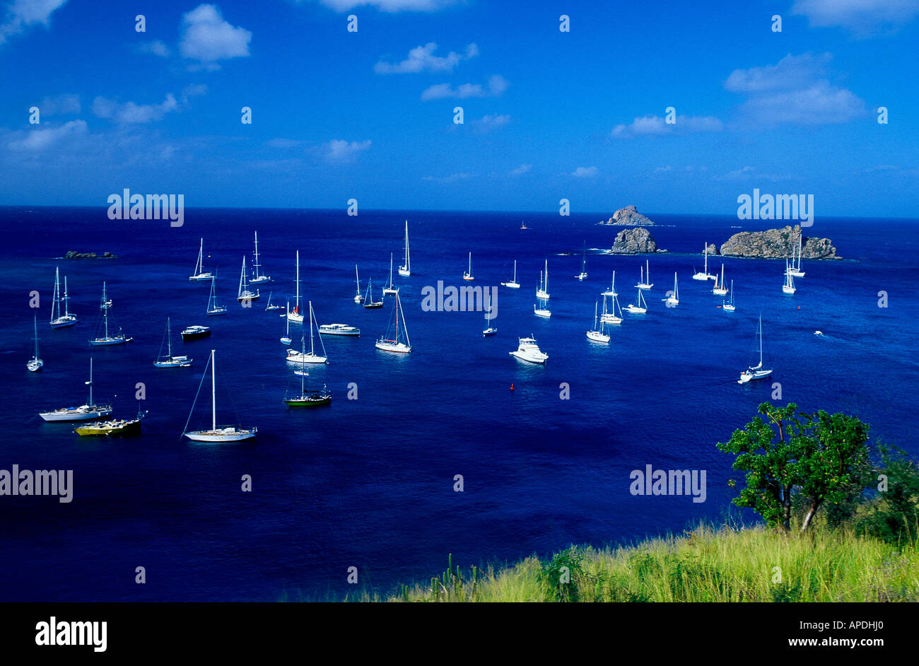 Sailing boats near Gustavia, St. Barthelemy, St. Barts Caribbean, America Stock Photo
