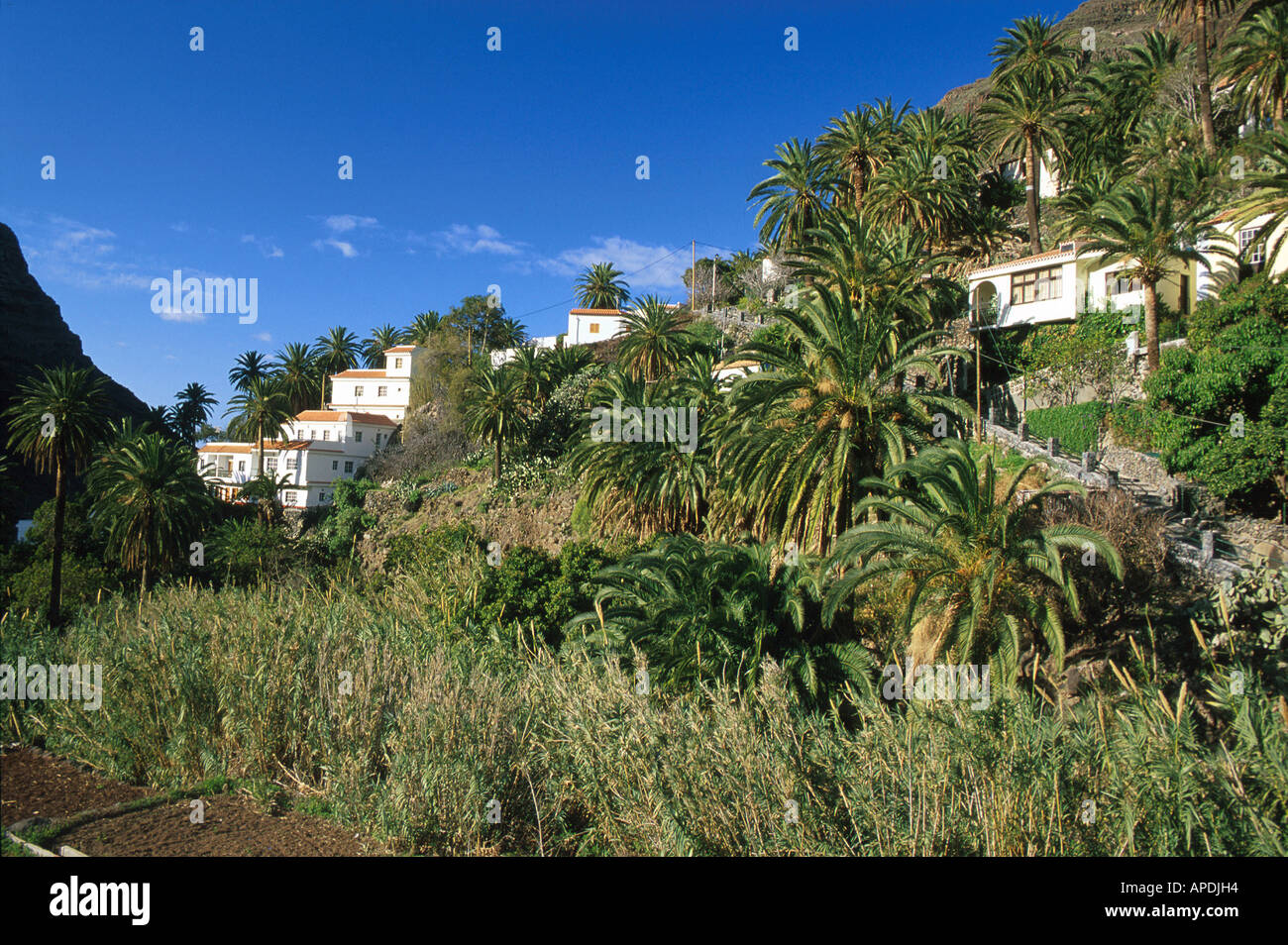 El Guro im Valle Gran Rey, La Gomera Kanarische Inseln Stock Photo