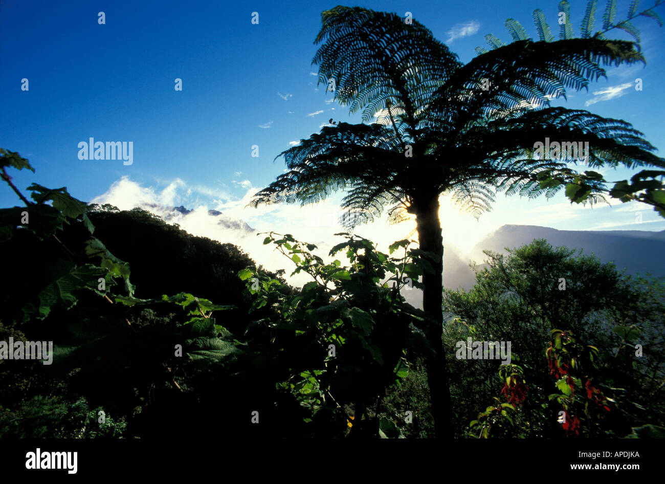 View over Cirque de Salazie, Piton de Neige, Ille de la Réunion Indian