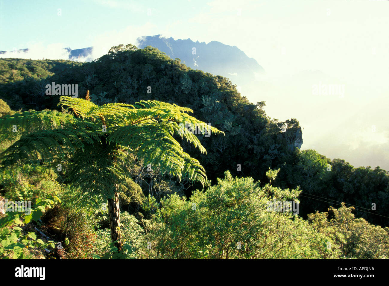 View over Cirque de Salazie, Piton de Neige, Ille de la Réunion Indian Ocean Stock Photo