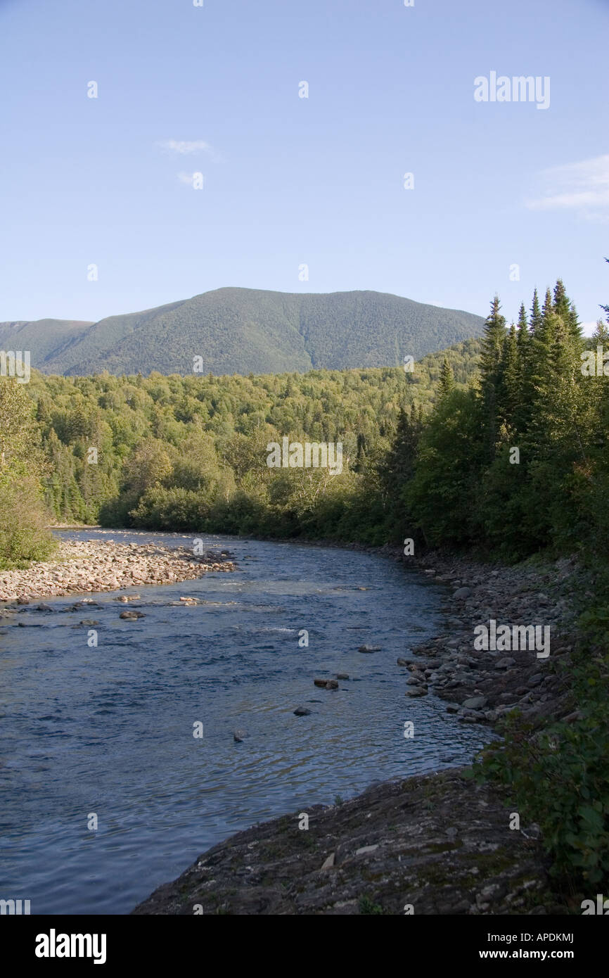 A salmon spawning stream in the mountains of Quebec Stock Photo - Alamy