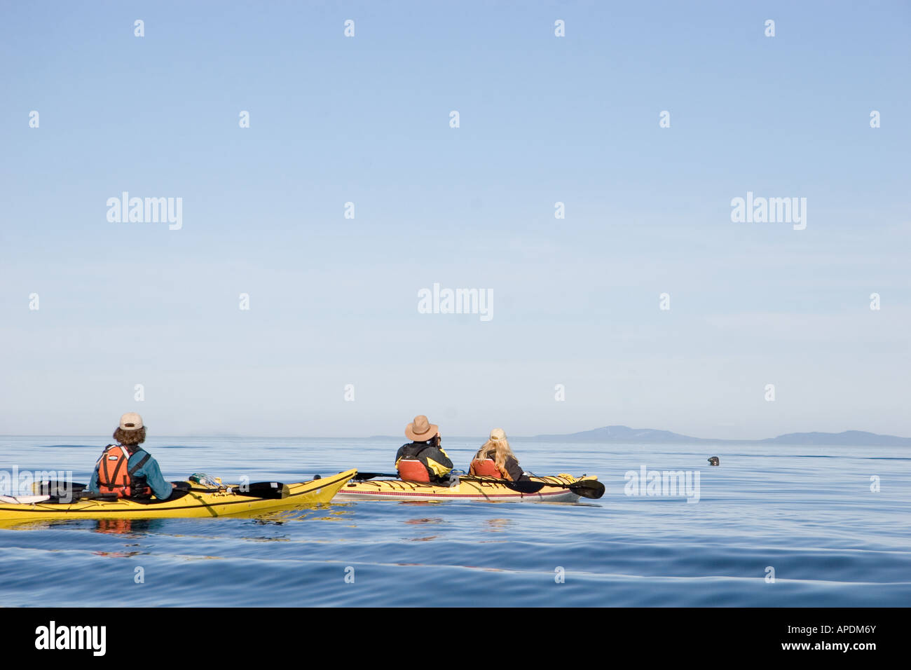 An afternoon kayak on the St Lawrence River Stock Photo Alamy