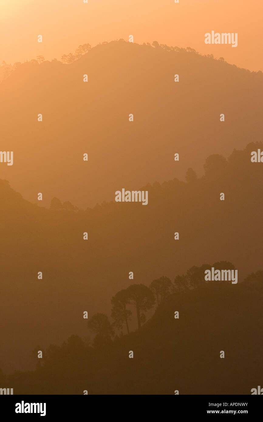 Trees and hills at sunrise in Islamabad, Pakistan Stock Photo Alamy