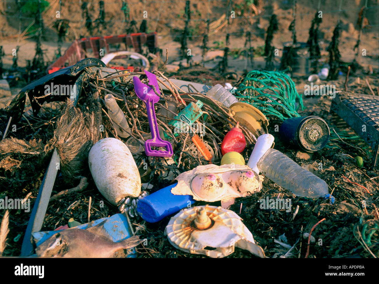 Litter washed up on beach, Cornwall, UK Stock Photo - Alamy