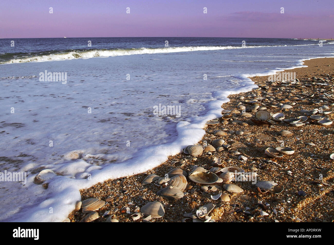 Sandy hook beach new jersey stock photo alamy
