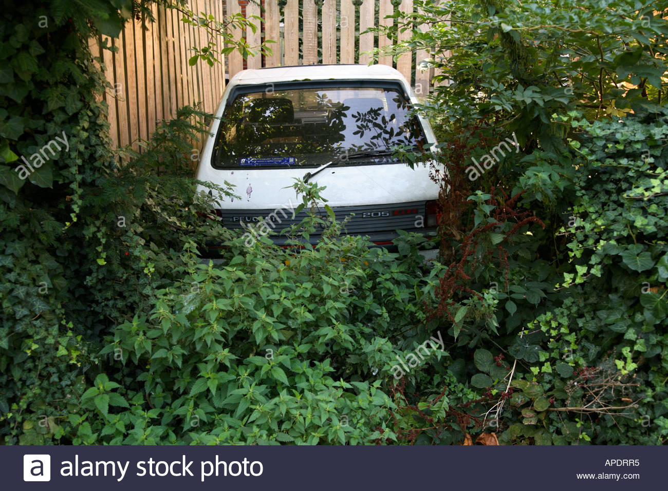 Rampant Weeds High Resolution Stock Photography and Images - Alamy