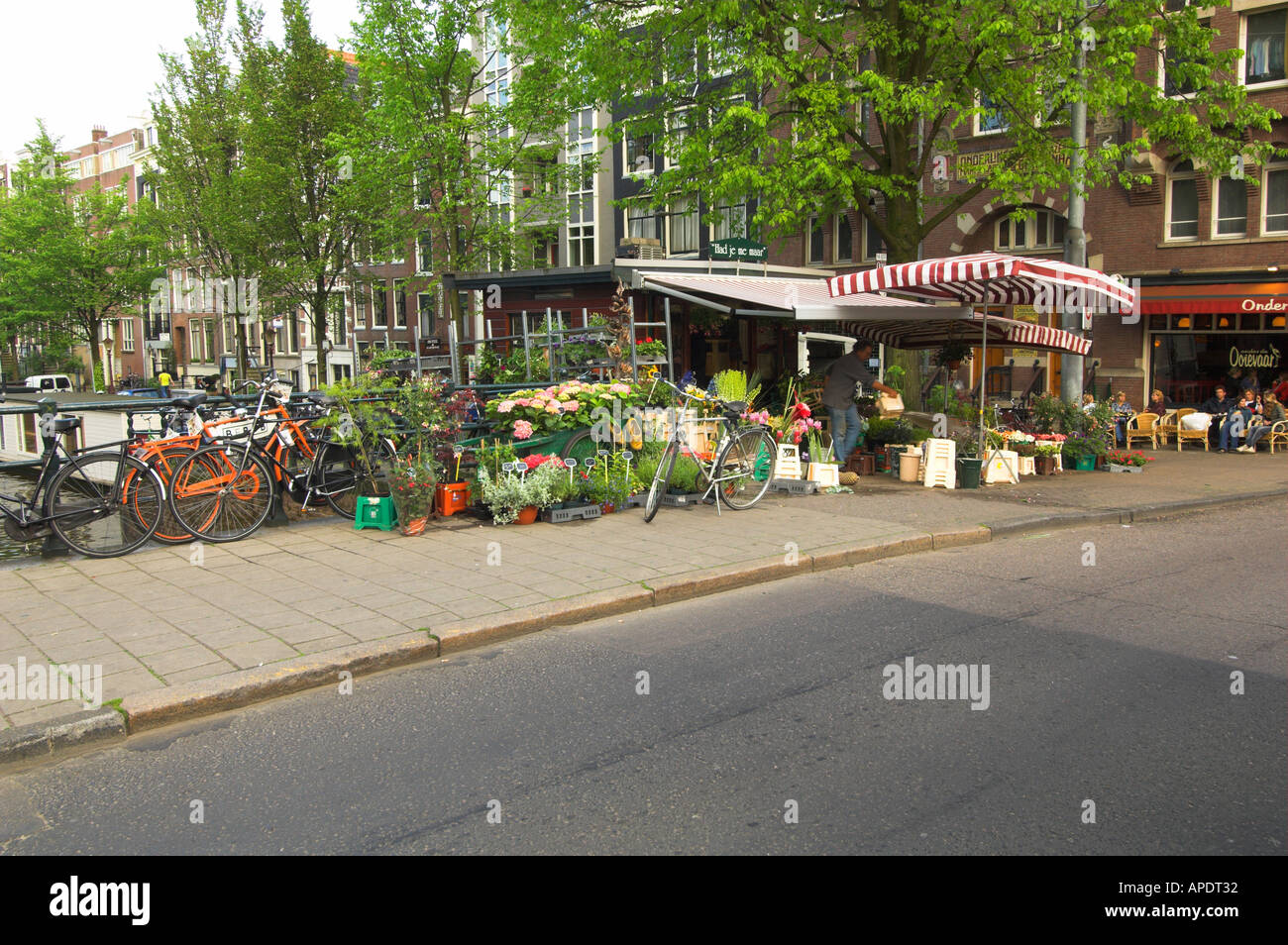 Flower and plant market on the streets of Amsterdam Stock Photo Alamy