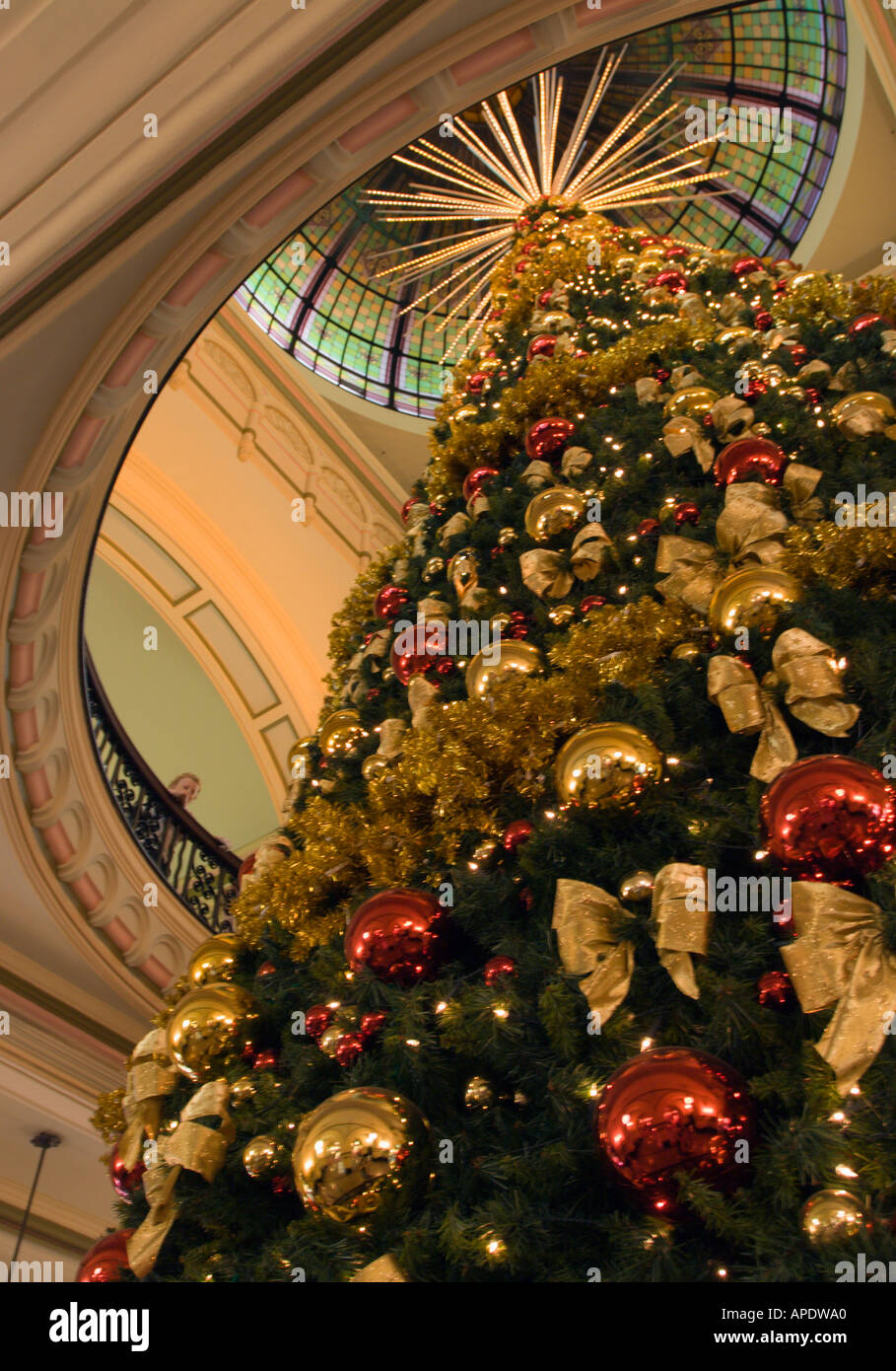 Looking up at huge tall pointed Xmas tree going up into main dome  of the Queen Victoria Building store in Sydney NSW Australia Stock Photo