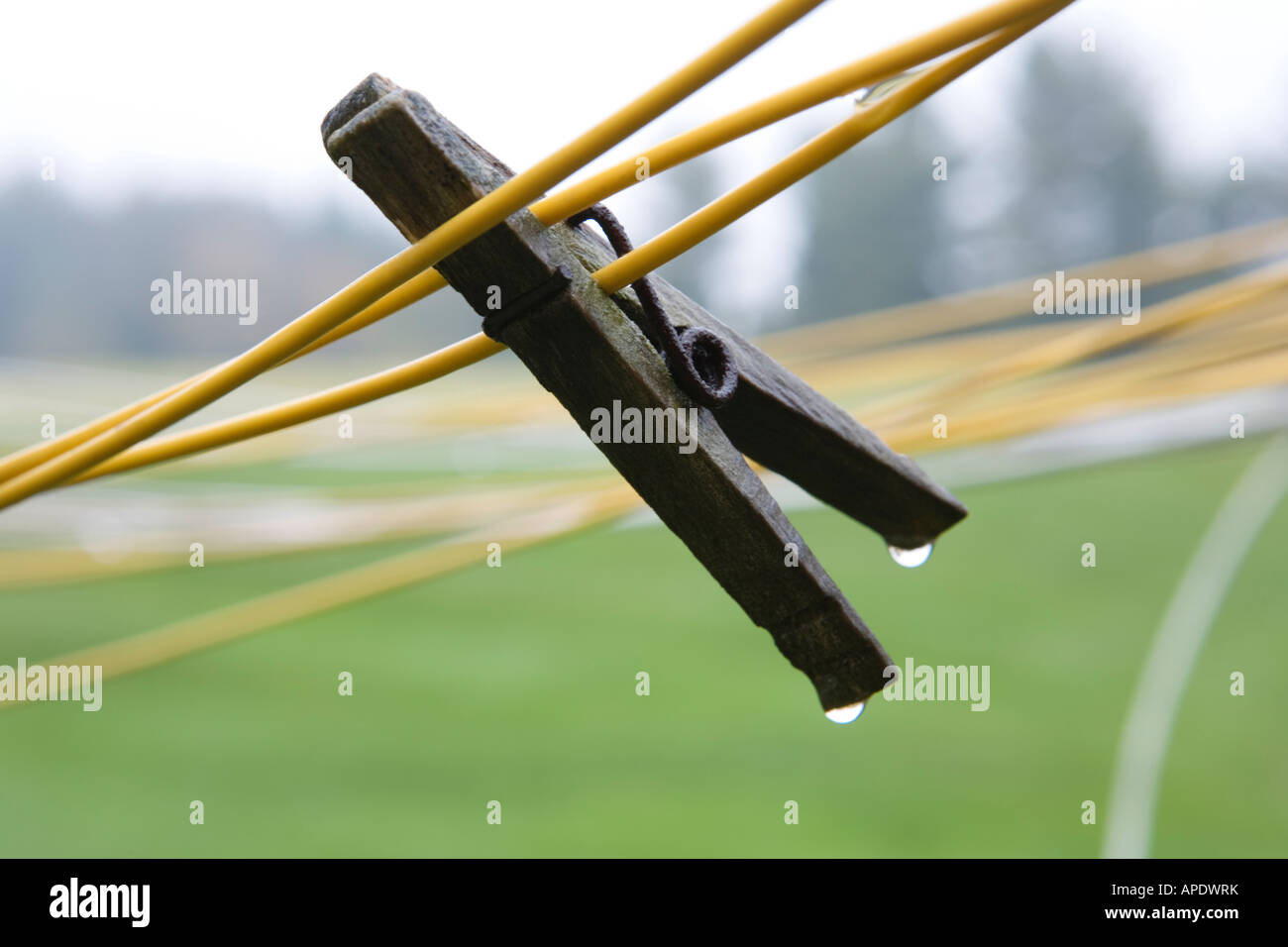 Wet clothes pin on clothes lines Stock Photo - Alamy