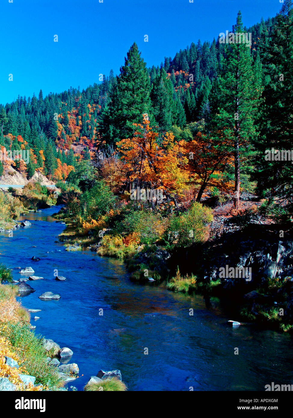 Fall scene at Feather River, Northern California Stock Photo Alamy