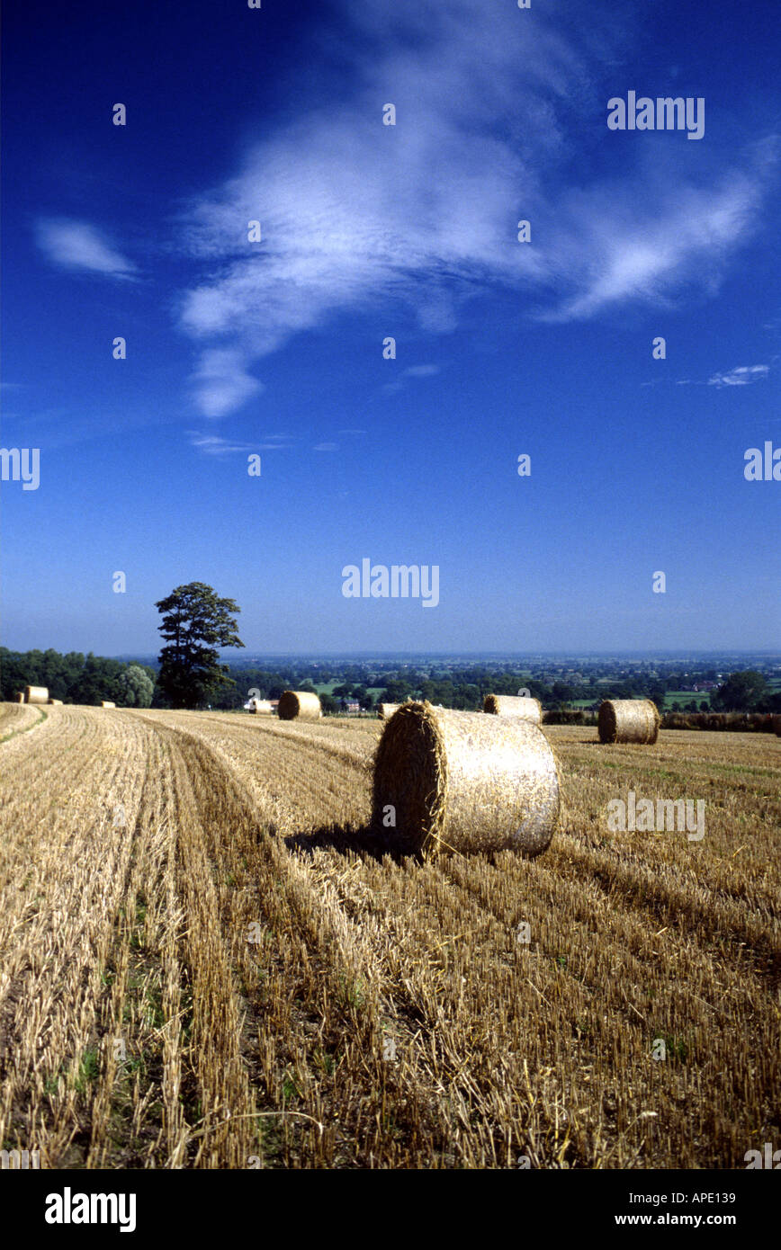 Scenic cylinders hires stock photography and images Alamy